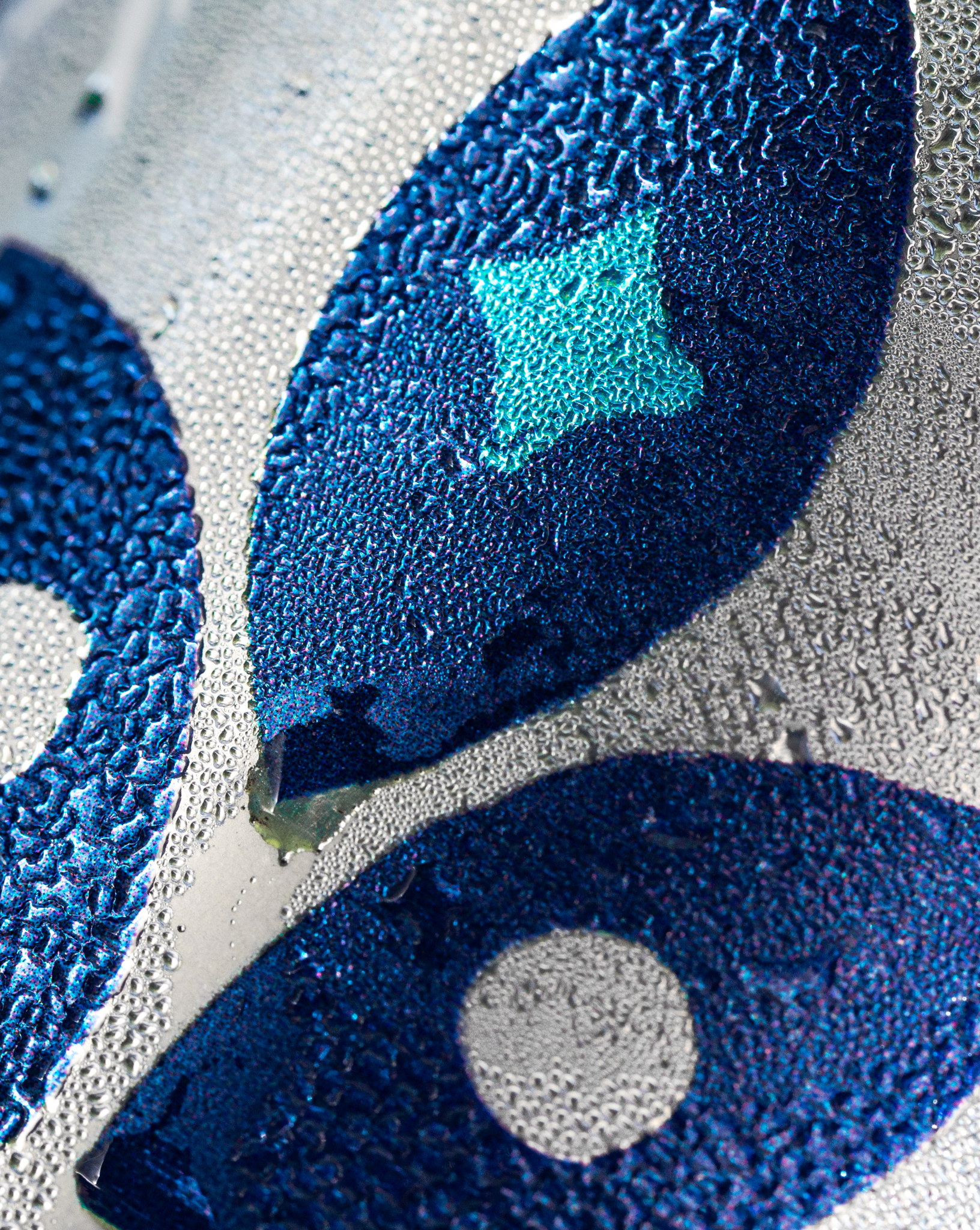 Macro shot of the ULTIMATÉ trefoil logo