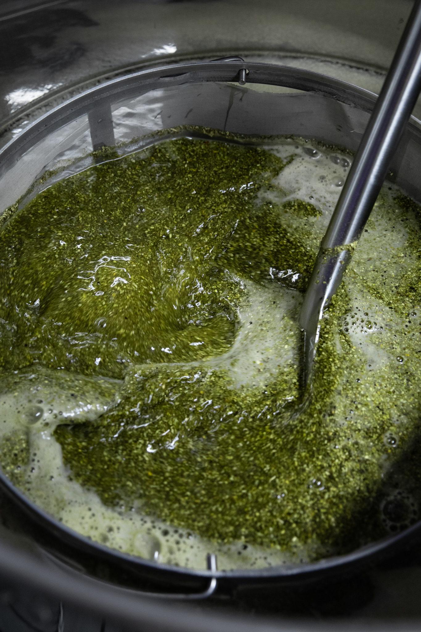 Stirring real yerba maté during the brewing process